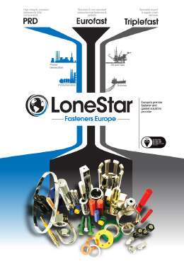 Brochure Portfolio LoneStar01 Print Design
