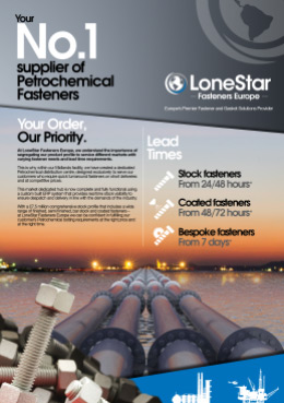 Brochure Portfolio LoneStar03 Print Design